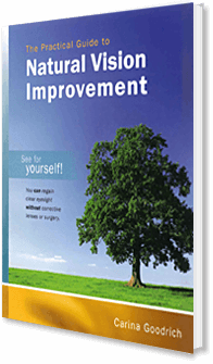 The Practical Guide to Natural Vision Improvement