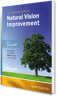 The Practical Guide to Natural Vision Improvement The Practical Guide to Natural Vision Improvement